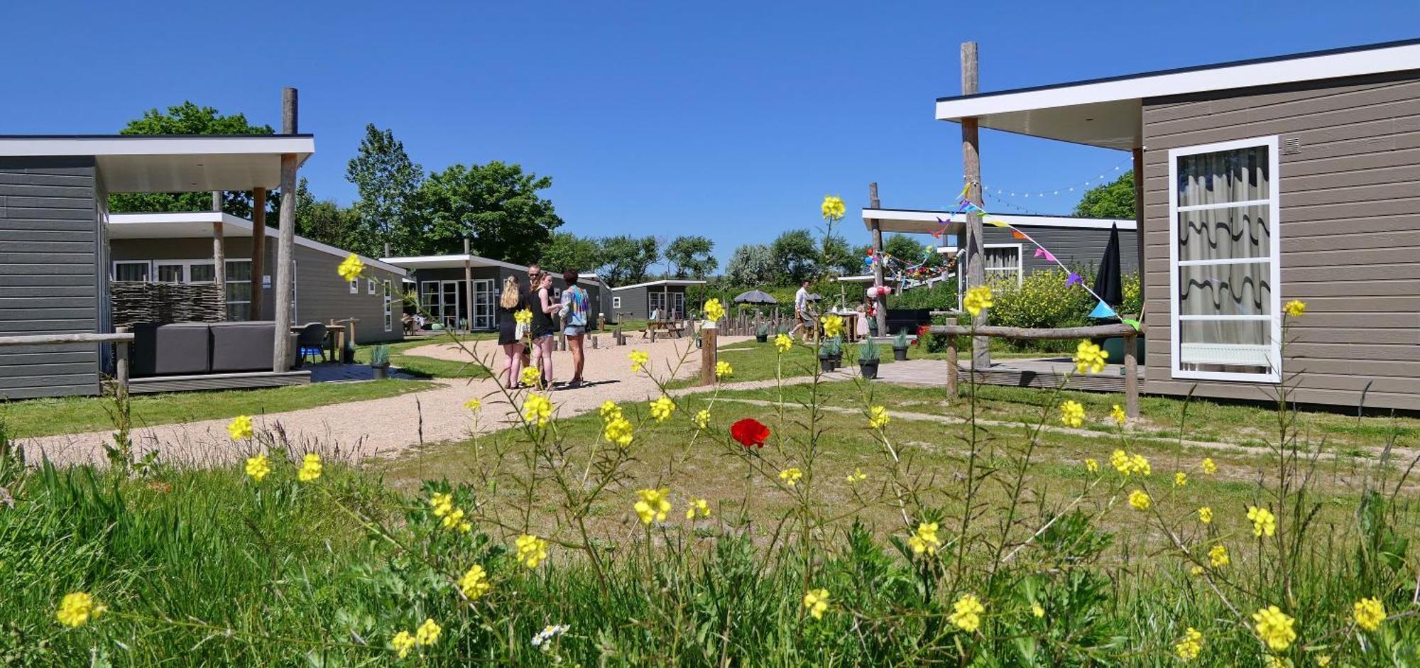 Vakantiepark Rcn Toppershoedje Ouddorp